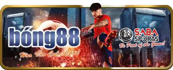Tin tức và cập nhật mới nhất từ ok365vip app
